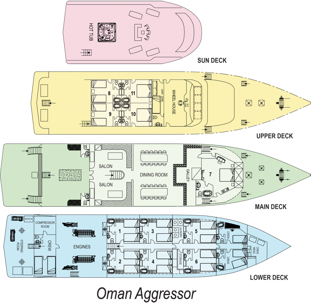 Croisière plongée à Oman à bord de l'Oman Aggressor