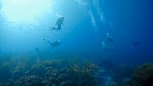 Plonger à Bonaire avec Dive-Shop.ch