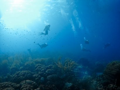 Plonger à Bonaire avec Dive-Shop.ch