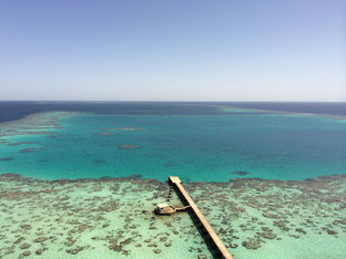 Croisière plongée en Egypte et au Soudan à bord de l'Oceanos