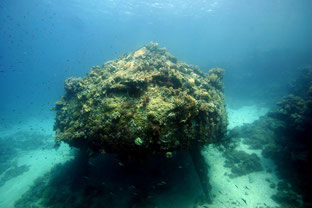 Croisière plongée en Egypte et au Soudan à bord de l'Oceanos