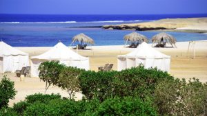Ecolodges Marsa Shagra en Egypte - Marsa Nakari et Wadi Lahami
