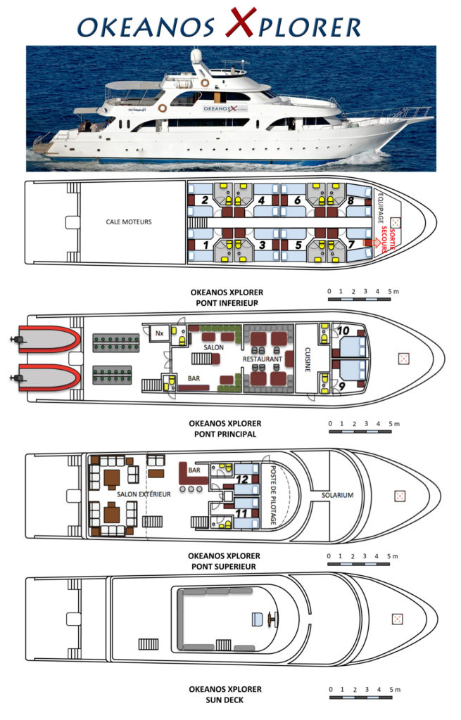 Okeanos Xplorer Croisière plongée en Egypte. Plongeurs loisir et TEK.