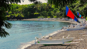 Bali Safari plongée et découverte de l'île des Dieux. Bali regroupe plus d'une vingtaine de sites de plongée parmi les plus beaux du monde.