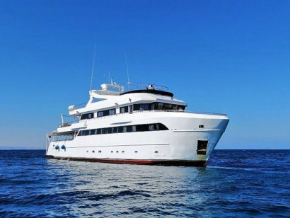 Saudi Explorer croisière plongée en Arabie Saoudite dans le grand sud de la mer rouge. Une destination riche et inexplorée.