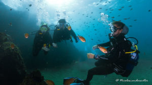 Plongée sous-marine à Lanzarote: découvrez des eaux cristallines, une vie marine diversifiée et des sites fascinants. Une expérience unique !