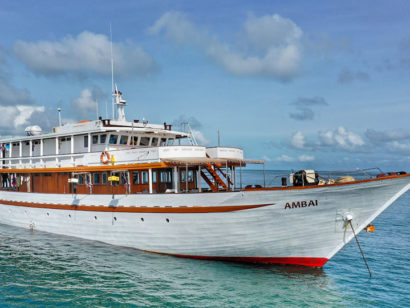 Ambai croisière plongée en Indonésie. Epicentre de la Biodiversité mondiale. Guides de plongée francophone et internationaux.